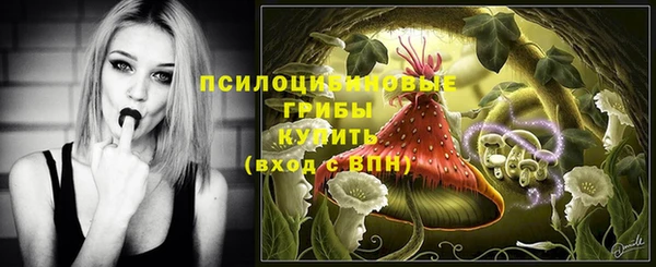 ECSTASY Алексин