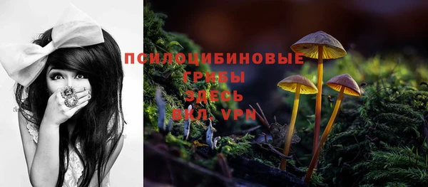 jwh Алзамай