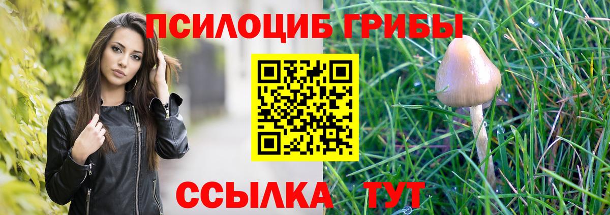 Курганинск  Галлюциногенные грибы Magic Shrooms  Вход с VPN  Галлюциногенные грибы прущие грибы 