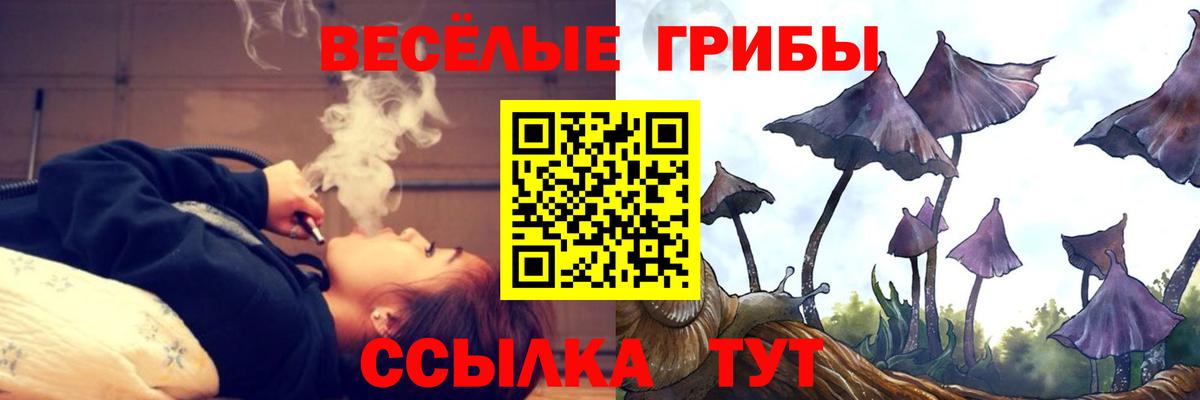 Галлюциногенные грибы мицелий Курганинск